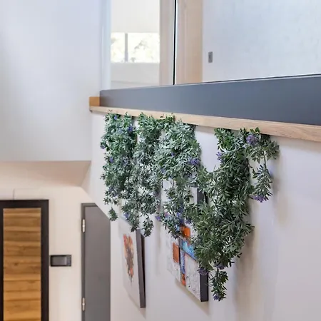 Alegria By Kura Homes 别墅